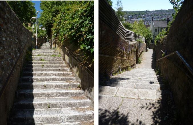 Round Hill cat-creep